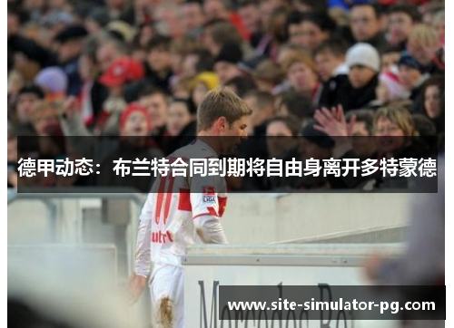 德甲动态：布兰特合同到期将自由身离开多特蒙德