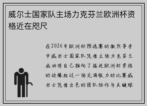 威尔士国家队主场力克芬兰欧洲杯资格近在咫尺